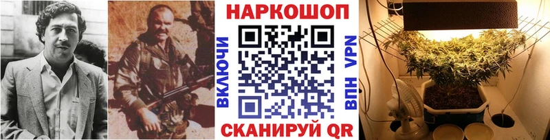 Наркота Ростов ссылка на мегу маркетплейс  COCAIN  Гашиш  Псилоцибиновые грибы  Канабис  СК 