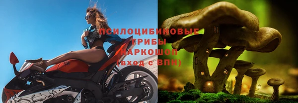 герыч Бородино