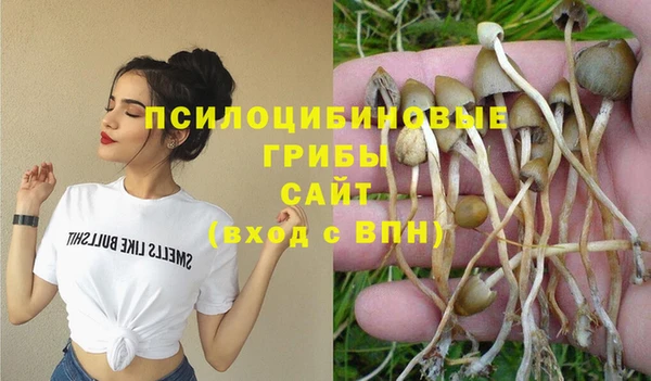 мяу мяу мука Верхний Тагил